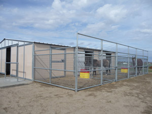 Mesh Combo Gate in paddock with Noble Trainer Series Barn